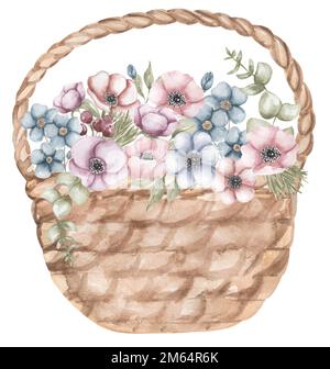 Anémone d'aquarelle avec bouquet Forget-Me-Not et verdure, panier de Pâques. Convient aux cartes de vœux, cartes de pâques, invitations, anniversaire, première com Banque D'Images