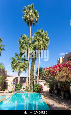 Palmiers dattiers et piscine, hôtel Dar Tourkia, Taroudant, Vallée de la sous, Maroc, Afrique du nord Banque D'Images