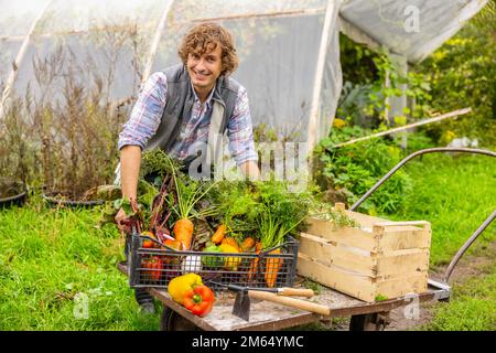 Jeune agriculteur content travaillant à la campagne Banque D'Images