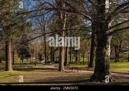 parc avec d'énormes chemins d'arbres et bancs en face du Sanctuaire de Loyola, Loiola basque, complexe monumental et religieux. Azpeitia, pays basque Banque D'Images