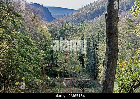 Ilsetal nahe Ilsenburg im Harz; rivière Ilse près d'Ilsenbur dans les monts Harz, Allemagne Banque D'Images