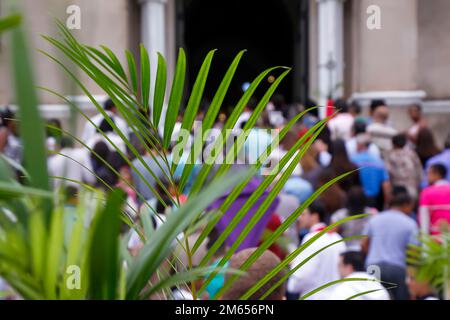 Semaine Sainte. Le dimanche des palmiers est un dimanche catholique traditionnel. Foi chrétienne. Banque D'Images