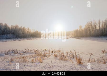 lever du soleil sur le givre du jardin couvert paysage Banque D'Images