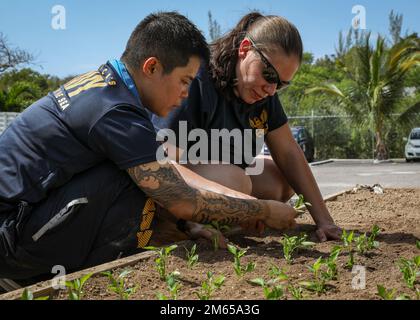 NASSAU, Bahamas (3 avril 2022) – technicien en chef du système de turbine à gaz (électricien) Jandavy Eseque, à gauche, Et Heather Wessel, spécialiste en renseignement 1st, affectée au destroyer guidé de la classe Arleigh Burke USS porter (DDG 78), bénévole au centre de la Croix-Rouge des Bahamas pour aider à planter des légumes dans le cadre du Programme pilote de résilience communautaire et de sécurité alimentaire, 3 avril. Porter, déployé à Rota, en Espagne, se trouve actuellement dans la zone d'exploitation 2nd Fleet aux États-Unis pour effectuer des certifications et des formations de routine. Banque D'Images