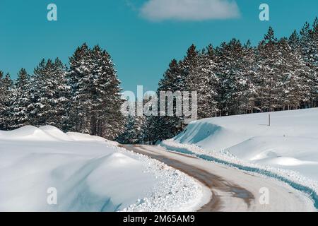 Chemin vide sinueux couvert de neige menant à une forêt de pins à feuilles persistantes de la montagne Zlatibor en Serbie Banque D'Images