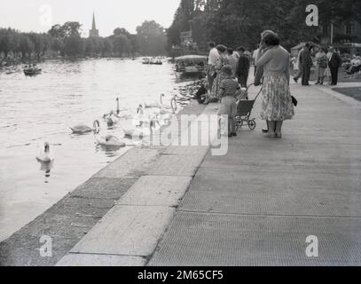 1950s, historique, les gens nourrissant les cygnes sur un chemin ou un chemin à côté de la rivière Avon à Stratford upon Avon, Warwickshire, Angleterre, Royaume-Uni, célèbre comme la ville natale du dramaturge anglais, William Shakespeare. La flèche de l'église Sainte Trinty située dans la vieille ville peut être vue au loin, l'église où William Shakespeare a été baptisé, marié et où lui et sa femme Anne Hathaway sont enterrés. Banque D'Images