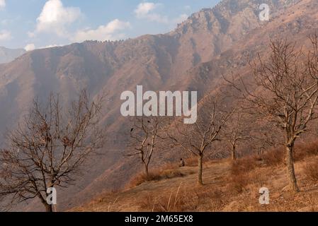 Srinagar, Inde. 02nd janvier 2023. Une vue sur les montagnes contre le ciel nuageux pendant une journée froide et ensoleillée dans la périphérie de Srinagar. (Photo par Irrees Abbas/SOPA Images/Sipa USA) crédit: SIPA USA/Alay Live News Banque D'Images