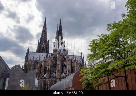 Vue sur la cathédrale de Cologne, monument du catholicisme allemand et de l'architecture gothique à Cologne, Allemagne. Banque D'Images