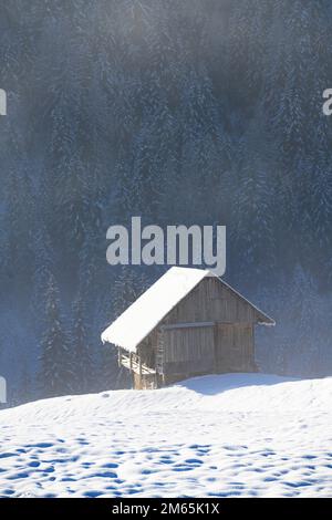 une vieille cabane en rondins dans un paysage hivernal enneigé Banque D'Images