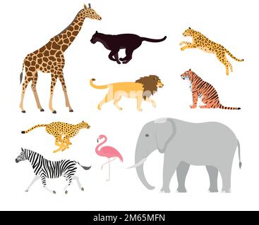 Ensemble vectoriel d'animaux sauvages africains plats isolés sur fond blanc Illustration de Vecteur