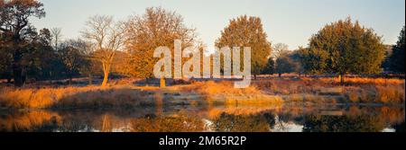 Richmond Park, étang et banc, tôt le matin à l'automne, Londres, Royaume-Uni Banque D'Images