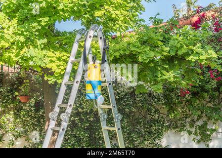 Approche en échelle métallique, pulvérisateur d'insecticide, masque de protection et lunettes de protection dans le jardin prêtes à l'emploi Banque D'Images