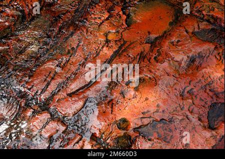 Lit de la rivière Red jasper à Quebrada de Jaspe, Jasper Creek, Gran Sabana, Venezuela Banque D'Images