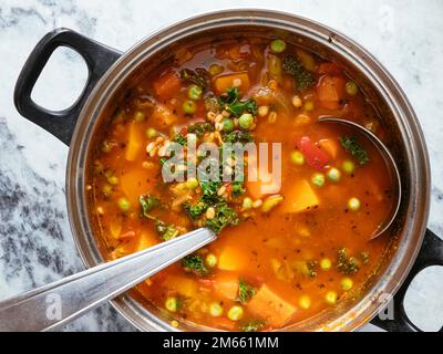 La maison a fait la soupe italienne de minestrone d'hiver avec courge d'hiver, carottes, kale, haricots verts, pois, tomates et orge. Banque D'Images