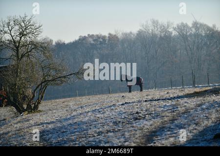 Estetal im hiver Banque D'Images