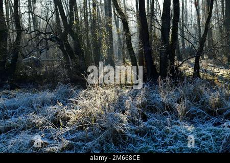 Estetal im hiver Banque D'Images