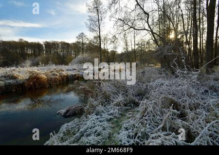 Estetal im hiver Banque D'Images