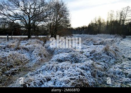 Estetal im hiver Banque D'Images