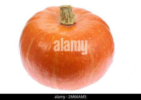 courge kuri rouge biologique isolée sur fond blanc Banque D'Images