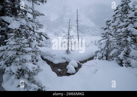 Scènes de mi-hiver à Lake Louise, parc national Banff. Alberta, Canada. Banque D'Images