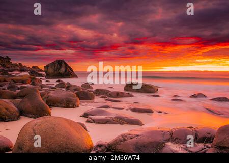 Coucher de soleil spectaculaire à minuit avec des couleurs étonnantes sur la plage d'Uttakleiv sur les îles Lofoten, Norvège Banque D'Images