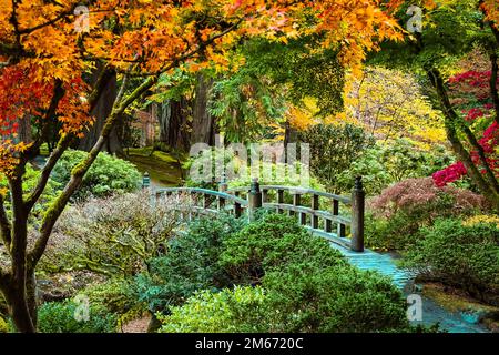 Jardin japonais de Portland en Oregon Banque D'Images