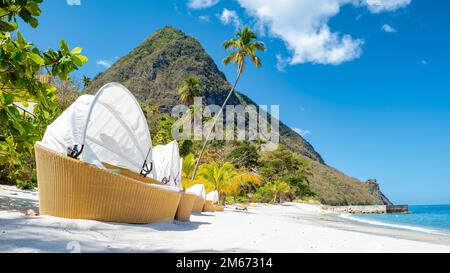 Sugar Beach Sainte-Lucie, une plage tropicale blanche publique avec des palmiers et des chaises de plage de luxe sur la plage de l'île Sainte-Lucie Caraïbes Banque D'Images