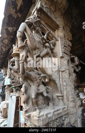 Piliers avec cavalier de cheval décorant le Temple Meenakshi Amman à Madurai, Tamil Nadu, Inde. Banque D'Images