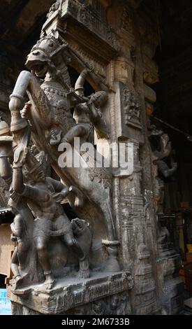 Piliers avec cavalier de cheval décorant le Temple Meenakshi Amman à Madurai, Tamil Nadu, Inde. Banque D'Images