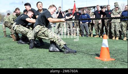 SEATTLE (9 avril 2022) – les membres du corps de formation des officiers de la Réserve navale de l'Université de Washington (NROTC) participent à un Tug-of-War sur le campus de l'Université de Washington lors du concours de la Marine du Nord-Ouest de 2022, 9 avril. Plus de 250 étudiants du NROTC et membres du personnel des universités de l'Idaho/Washington State, de l'Oregon State, de l'Utah et de Washington ont participé à des exercices militaires, des événements universitaires et sportifs lors du concours d'une journée. La marine du Nord-Ouest a lieu sur une base tournante entre les écoles depuis 1957. En raison de la pandémie COVID-19, c'était la première fois que toutes les unités étaient en mesure de faire des communications Banque D'Images