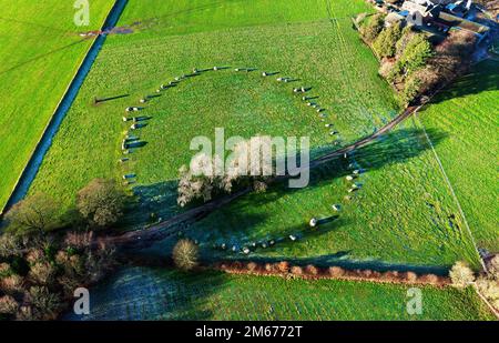 Long Meg et ses filles. Cercle de pierre néolithique préhistorique. Langwathby, Cumbria, Royaume-Uni. Antenne de cercle et de pierre plus aberrante avec gel de houar d'hiver Banque D'Images