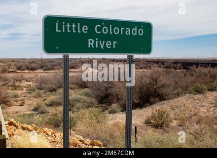 Des épaississants denses de cèdre salé infeste les rives et le lit de la rivière Little Colorado 11 avril à Winslow, en Arizona. Le cèdre du sel, une espèce végétale envahissante, sera principalement enlevé pendant le projet de contrôle des crues de Winslow. Selon les États-Unis Service forestier, le cèdre salé perturbe et remplace les plantes indigènes, dégrade les habitats fauniques indigènes, draine l'humidité de la zone limitée et augmente les risques d'incendie de forêt. Banque D'Images