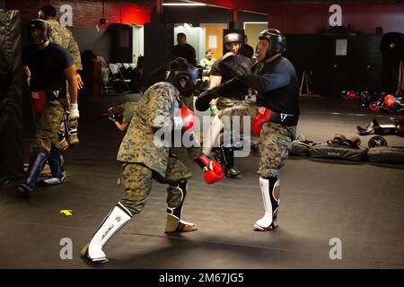 ÉTATS-UNIS Le sergent Christopher Flores, instructeur des arts maritimes (MAI), exécute un coup de pied à l'arrière de la jambe tout en s'engageant dans un sparring libre sur le camp de base du corps marin Lejeune, 12 avril 2022. Le COURS MAI est un cours de trois semaines conçu pour préparer les Marines à enseigner et à enseigner les principes de base du combat de la main à la main Banque D'Images