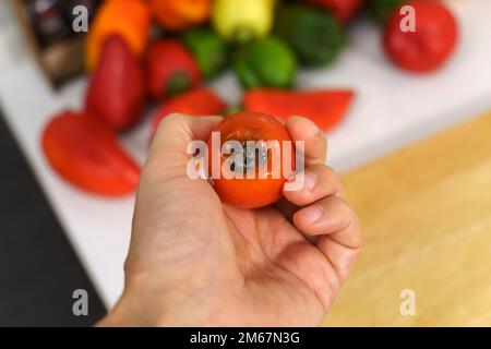 Tomate fraîche gâtée. Les dommages causés aux cultures par les intempéries, les maladies et les ravageurs. Mise au point sélective Banque D'Images