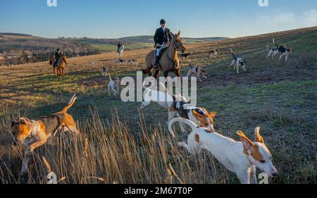 Lauder, Royaume-Uni. 21st décembre 2022. 2 janvier 2023. Lauder, frontières écossaises, Écosse. La chasse annuelle du nouvel an de Lauderdale, aujourd'hui, sur les champs et les landes entourant Lauder aux frontières écossaises, Sous la direction du maître de la chasse, Claire Bellamy Riders s'est réunie pour suivre les huards à travers la lande commune de Lauder ce matin dans des conditions ensoleillées et lumineuses avec un froid glacial dans l'air. Crédit photo : phil wilkinson/Alay Live News Banque D'Images