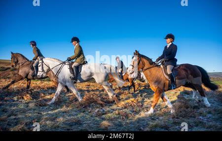 Lauder, Royaume-Uni. 21st décembre 2022. 2 janvier 2023. Lauder, frontières écossaises, Écosse. La chasse annuelle du nouvel an de Lauderdale, aujourd'hui, sur les champs et les landes entourant Lauder aux frontières écossaises, Sous la direction du maître de la chasse, Claire Bellamy Riders s'est réunie pour suivre les huards à travers la lande commune de Lauder ce matin dans des conditions ensoleillées et lumineuses avec un froid glacial dans l'air. Crédit photo : phil wilkinson/Alay Live News Banque D'Images