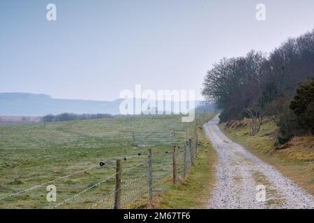 Zone humide danoise - Parc national de Rebild. Nature matinale - terre marécageuse. Un sol humide et boueux trop doux pour supporter un corps lourd. Parc national de Rebild, Jutland Banque D'Images