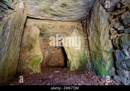 Hetty Peglers Tump aka Uley long Barrow 5000+ année Néolithique chambered long barrow. Gloucestershire, Royaume-Uni. Galerie de l'intérieur de la chambre grave depuis le passage Banque D'Images