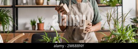 vue rognée de fleuriste afro-américain tenant des pots de tourbe près de plantes vertes dans la boutique de fleurs, bannière, image de stock Banque D'Images