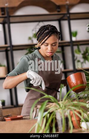 femme afro-américaine élégante tenant une pelle à jardin et un pot de fleurs tout en travaillant près de plantes floues, image de stock Banque D'Images