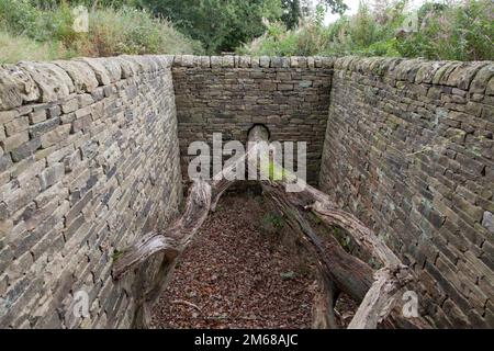 Andy Goldsworthy, Hanging Trees 2007, une sculpture au Yorkshire Sculpture Park Banque D'Images