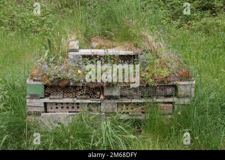 Un homme a fait un habitat pour les insectes et la faune, souvent appelé hôtel de insectes, fait de palettes en bois et de vieilles briques Banque D'Images