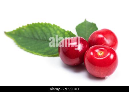 Trois cerises douces avec feuille de cerisier isolée sur fond blanc Banque D'Images