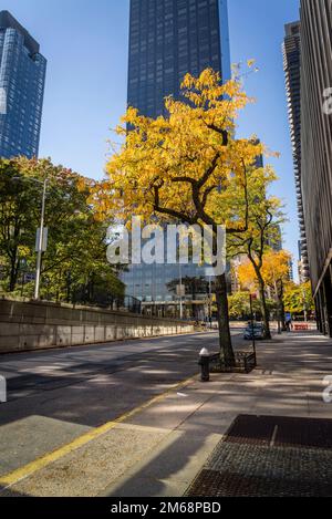 Trump World Tower, un immeuble résidentiel en copropriété situé dans le quartier de Turtle Bay à Midtown Manhattan, 1st avenue, Midtown Manhattan, New York CIT Banque D'Images