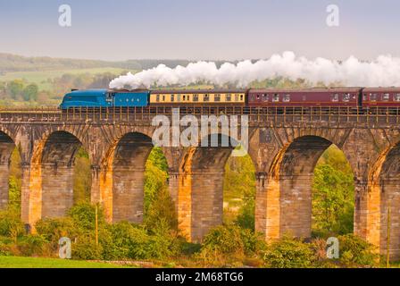 Train à vapeur Bittern traversant l'Avon Viaduct, Écosse Banque D'Images