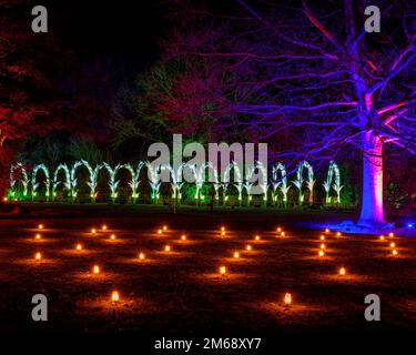 Noël à Dunham Massey. Un des premiers spectacles de lumière du Royaume-Uni à Altrincham, Cheshire, dans le nord-ouest de l'Angleterre. Détente en famille Banque D'Images