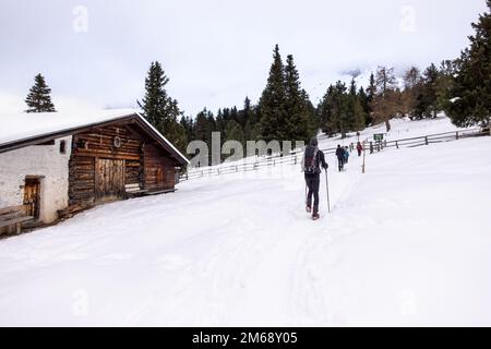Hiver neige montagne randonnée groupe de touristes dans les montagnes, dans les Alpes. Groupe de personnes marchant avec des bâtons de randonnée sur la neige près d'une cabane en bois Banque D'Images
