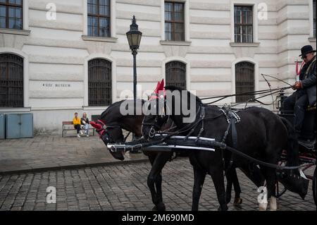 Vue sur les calèches -Fiakers devant le palais Hofburg ancien palais impérial principal de la dynastie des Habsbourg. Banque D'Images