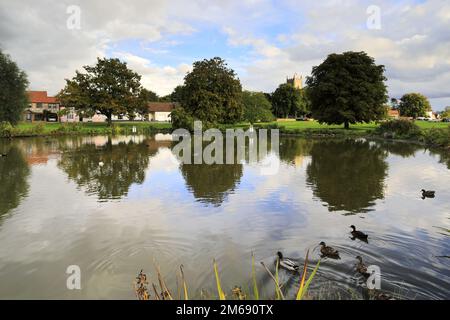 Vue sur l'étang de canard au village de Great Massingham, North Norfolk, Angleterre, Royaume-Uni Banque D'Images