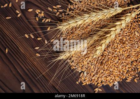 Épis mûrs de céréales et de céréales. Épis de blé, seigle, orge et avoine sur fond de bois, vue de dessus. Banque D'Images